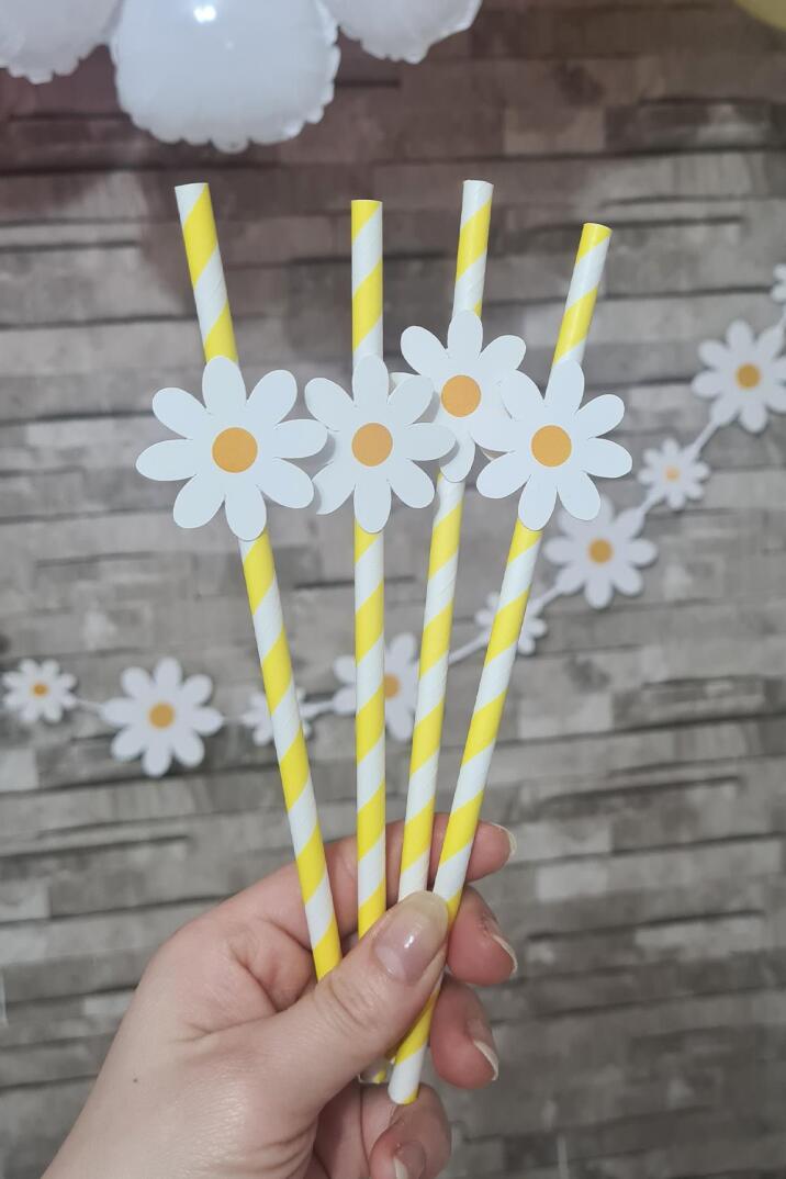 Papatya Konsept Pipet Süsleri 10lu Lüks Pipet Paketi - 3
