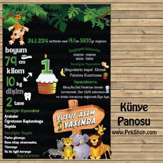 Safari Konsept Künye Panosu 