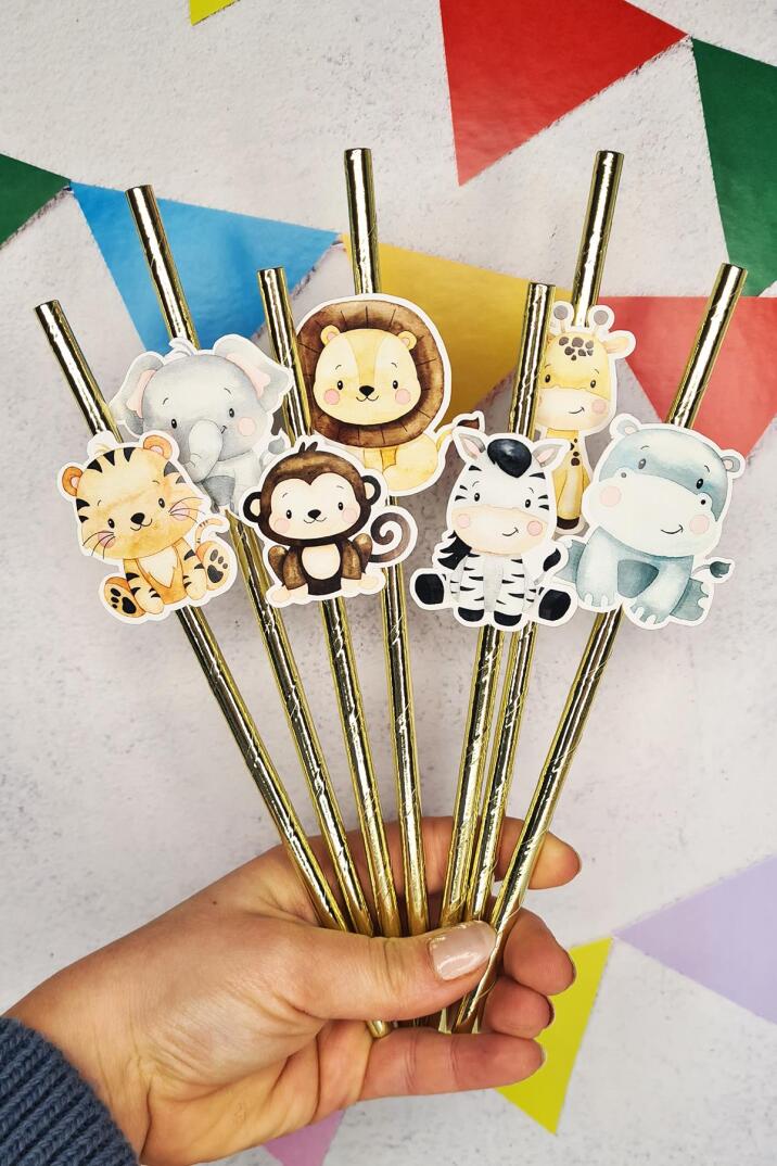 Safari Konsept Pipet Süsleri 10lu Lüks Pipet Paketi - 3