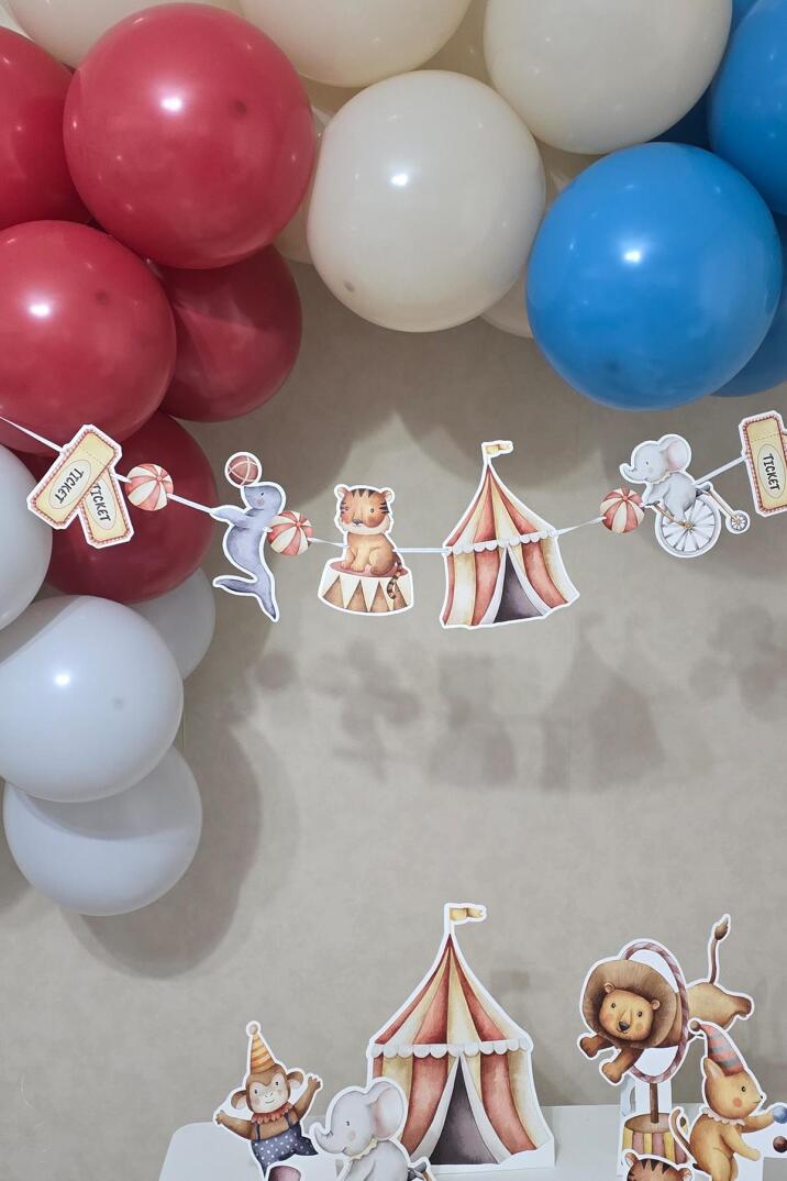 Sirk Tema Banner Doğum Günü Duvar Süsü - 4