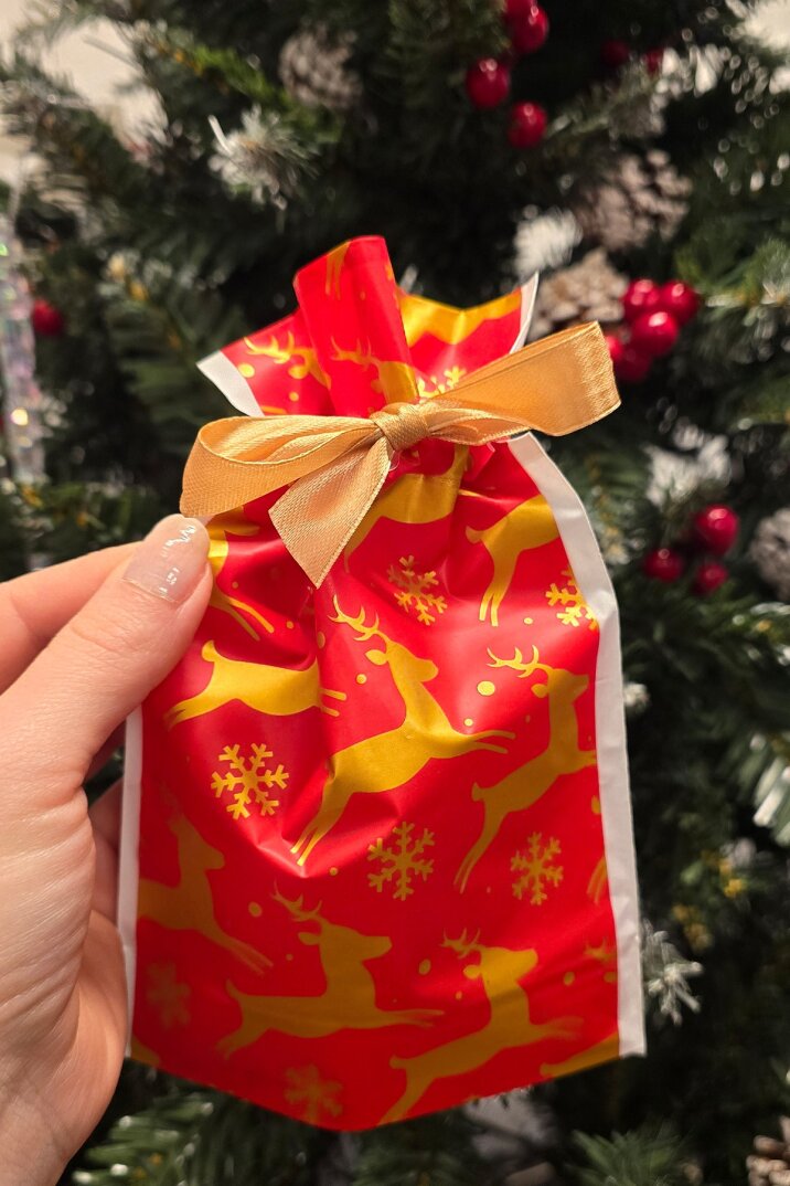Yılbaşı Hediye Kesesi Geyik Desen Orta Boy Yılbaşı Hediyelik Kese Poşet 12x17cm 5li Paket - 2