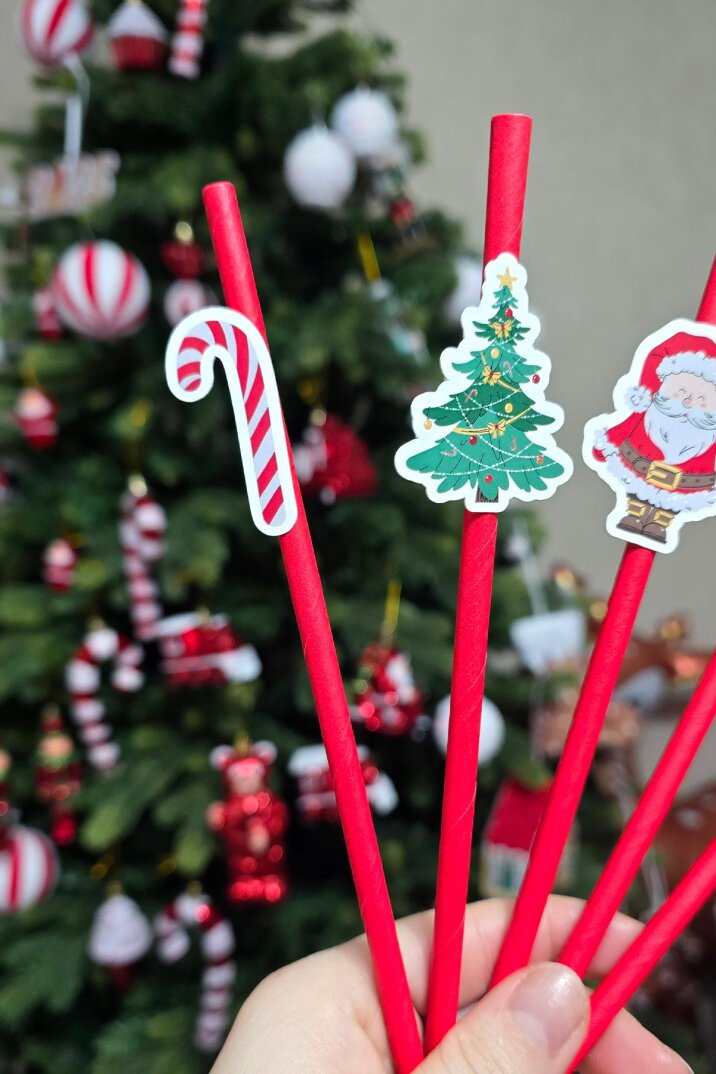 Yılbaşı Temalı Noel Baba Kardan Adam Baston Şeker Süslü Pipetler 10lu Pipet Paketi - 3